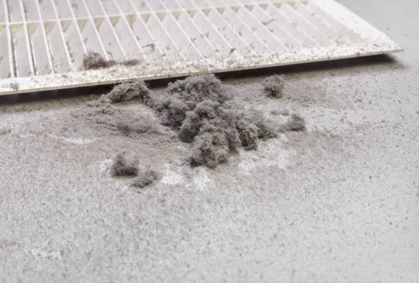 Best Duct Cleaning for Offices  in Shongopovi, AZ