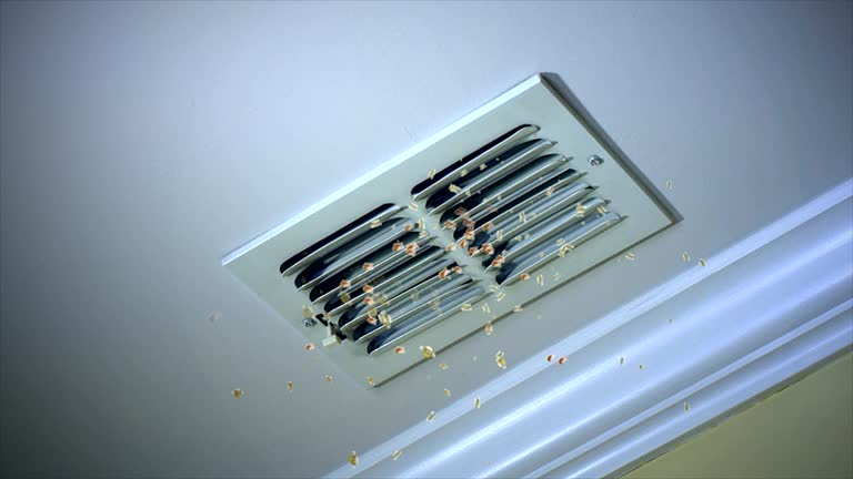 Best Dryer Vent Cleaning Services  in Shongopovi, AZ