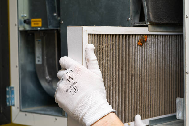 Best Affordable Air Duct Cleaning  in Shongopovi, AZ