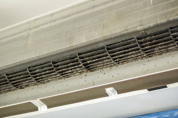 Best Ventilation Cleaning Services  in Shongopovi, AZ
